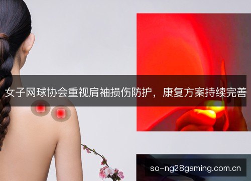 女子网球协会重视肩袖损伤防护,康复方案持续完善 女子网球协会重视肩袖损伤防护,康复方案持续完善